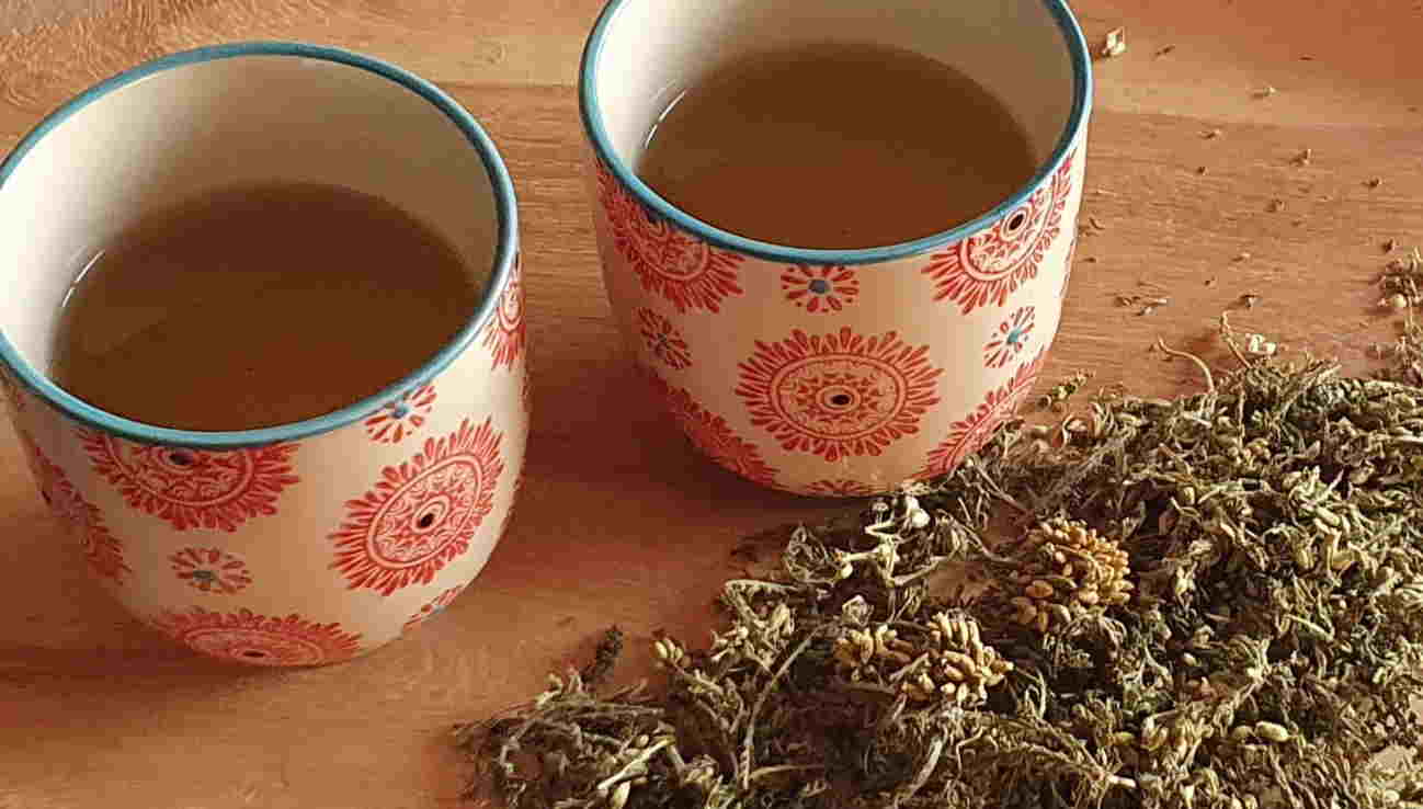 Infuso di Achillea